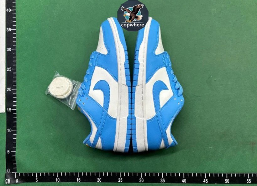 Nike Dunk SB Quality Assurance Free Return-7
