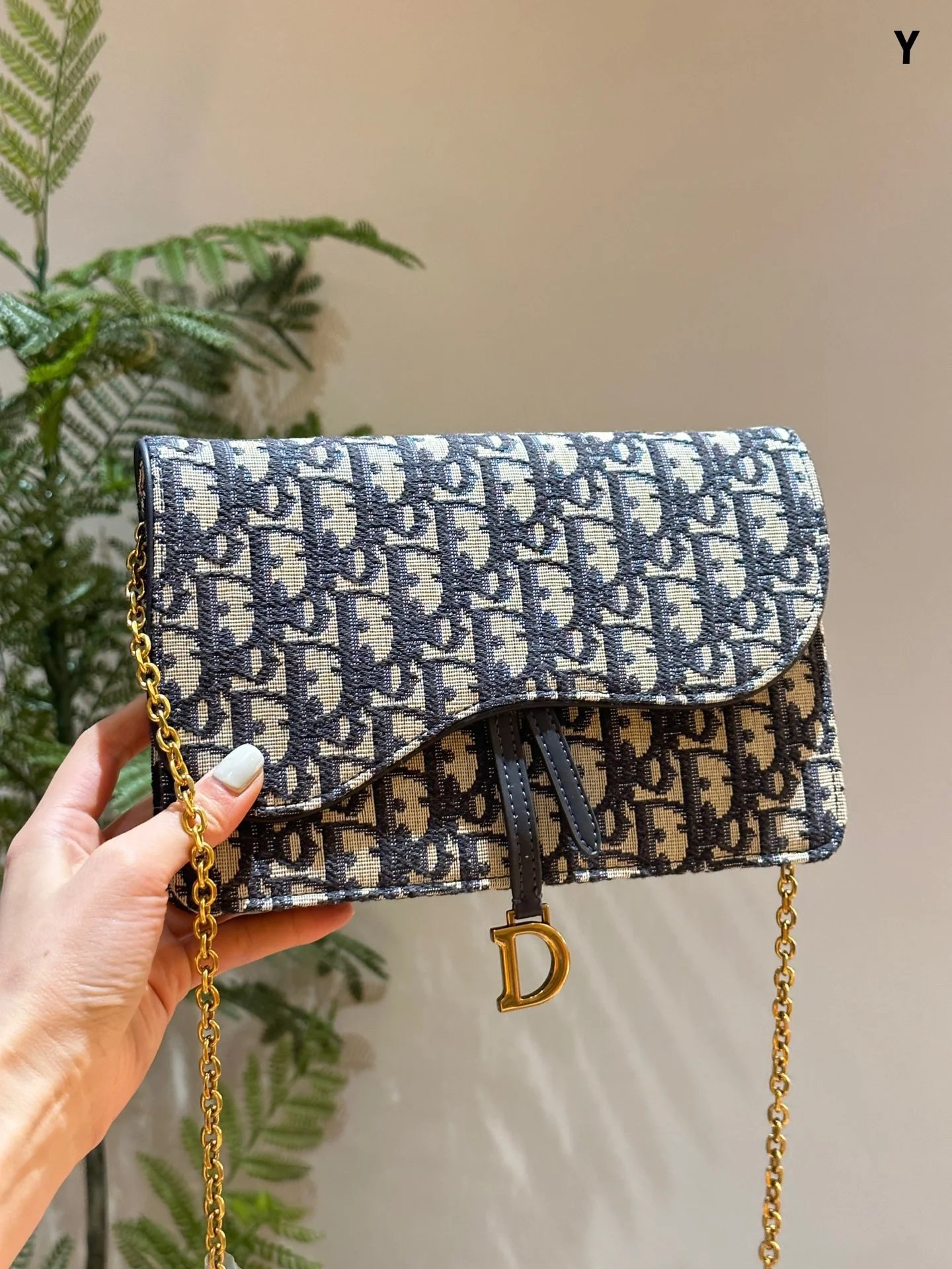 Dior Handbags Saddle Bags