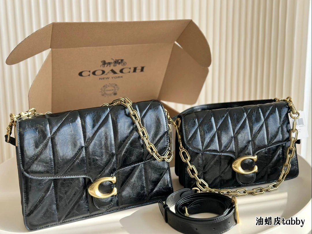 Coach Handbags Chain Tabby
