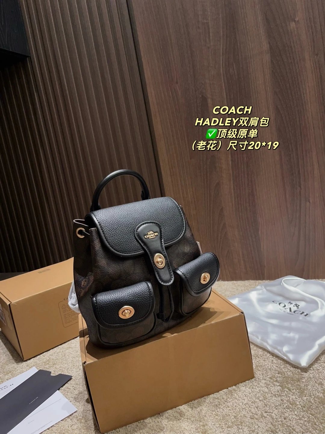 Coach Backpack Hadley 20*19